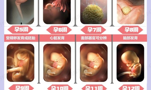 怀孕头一个月吃了罗红霉素-怀孕一个月吃罗红霉素网刚怀孕罗红霉素片吃了怎么办知识网站,分享怀孕头一个月吃了罗红霉素大全