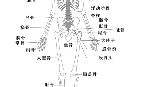 怀孕初期吃了一粒罗红霉素胶囊-怀孕一个月吃罗红霉素网刚怀孕罗红霉素片吃了怎么办知识网站,分享怀孕头一个月吃了罗红霉素大全