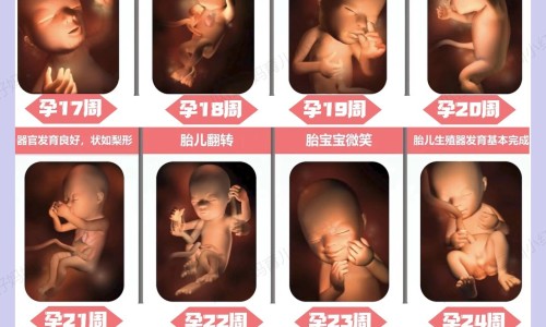 怀孕一个月吃罗红霉素没事吧-怀孕一个月吃罗红霉素网刚怀孕罗红霉素片吃了怎么办知识网站,分享怀孕头一个月吃了罗红霉素大全