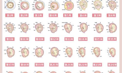 怀孕一个月吃罗红霉素网刚怀孕罗红霉素片吃了怎么办知识网站,分享怀孕头一个月吃了罗红霉素大全